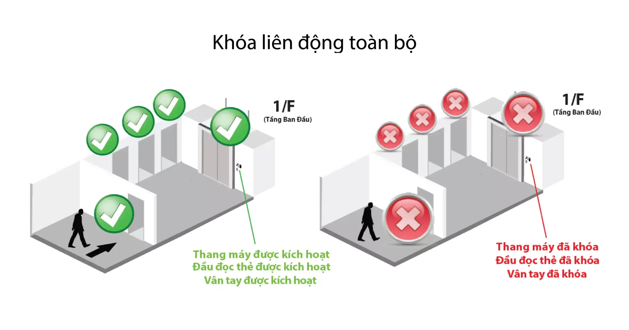 Giải Pháp Kiểm Soát Thang Máy Zkteco Zkbio Cvsecurity: Một Chạm Truy Cập Tất Cả