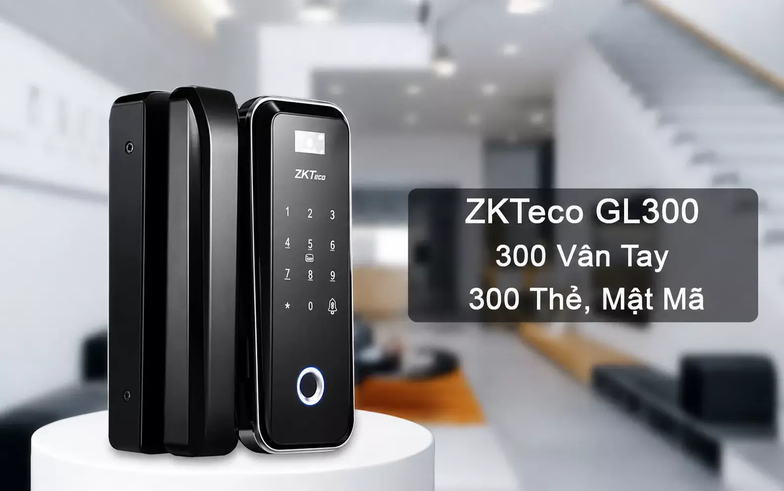 ZKTeco GL300 ZKTeco GL300